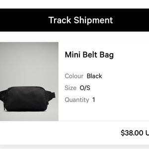 Lululemon mini belt bag